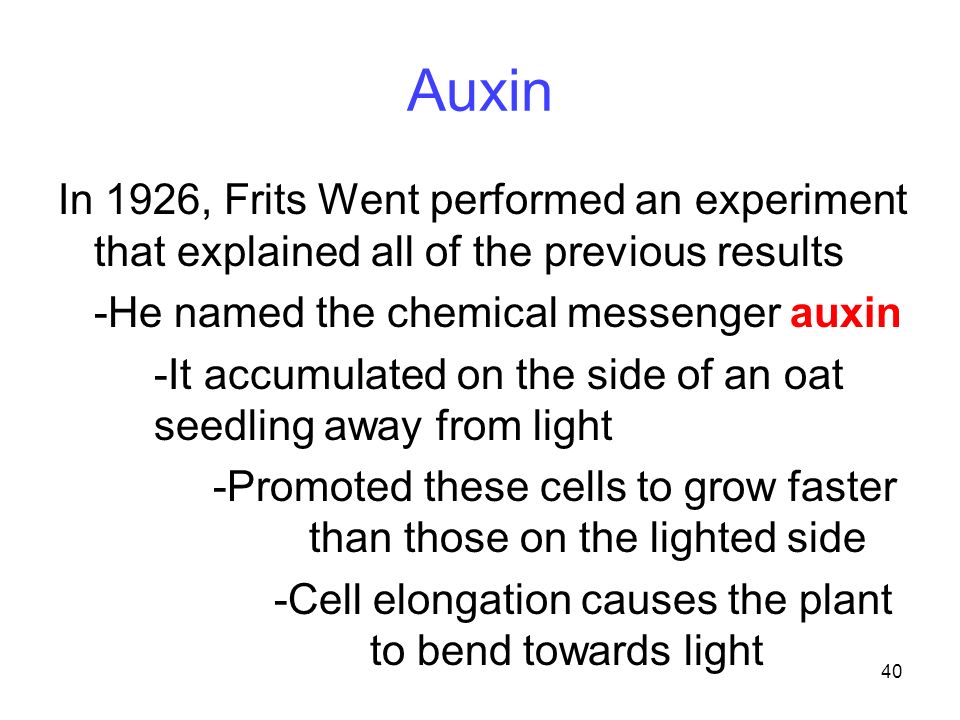 Auxin In 1926, Frits Went performed an experiment that explained all of the previous results. -He named the chemical messenger auxin.