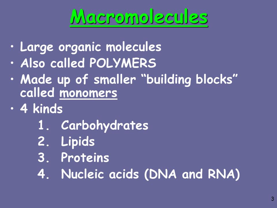 Macromolecules Large organic molecules Also called POLYMERS