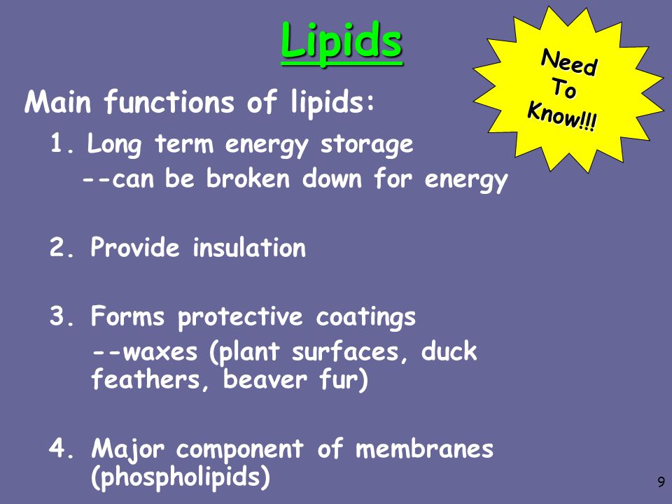 Lipids Main functions of lipids: 1. Long term energy storage
