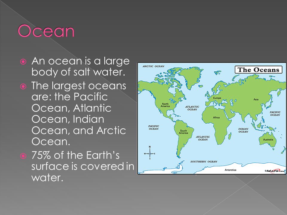 Ocean An ocean is a large body of salt water.