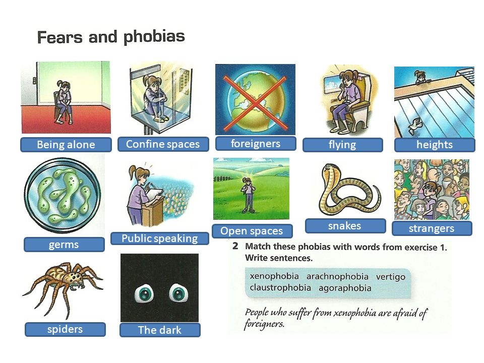 Spotlight 9 fears and phobias презентация