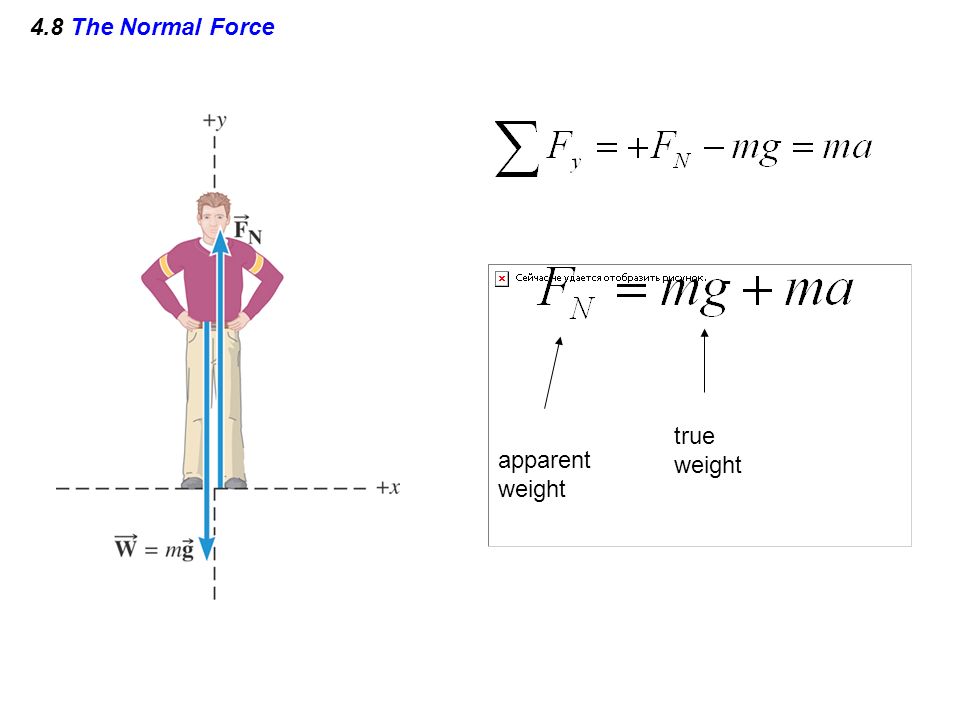 4.8 The Normal Force true weight apparent weight