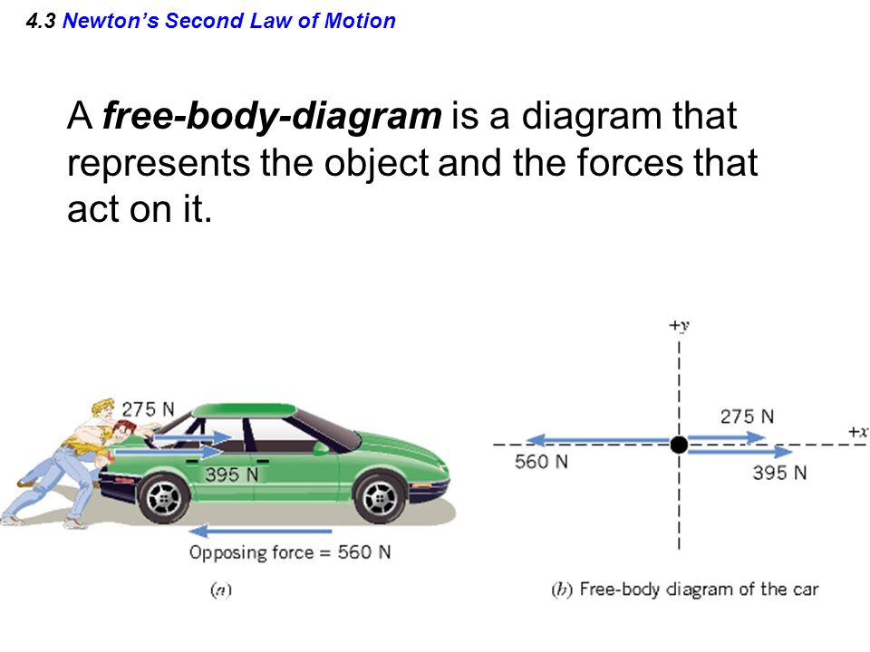 4.3 Newton’s Second Law of Motion