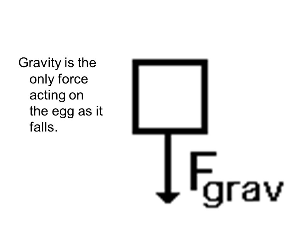 Gravity is the only force acting on the egg as it falls.