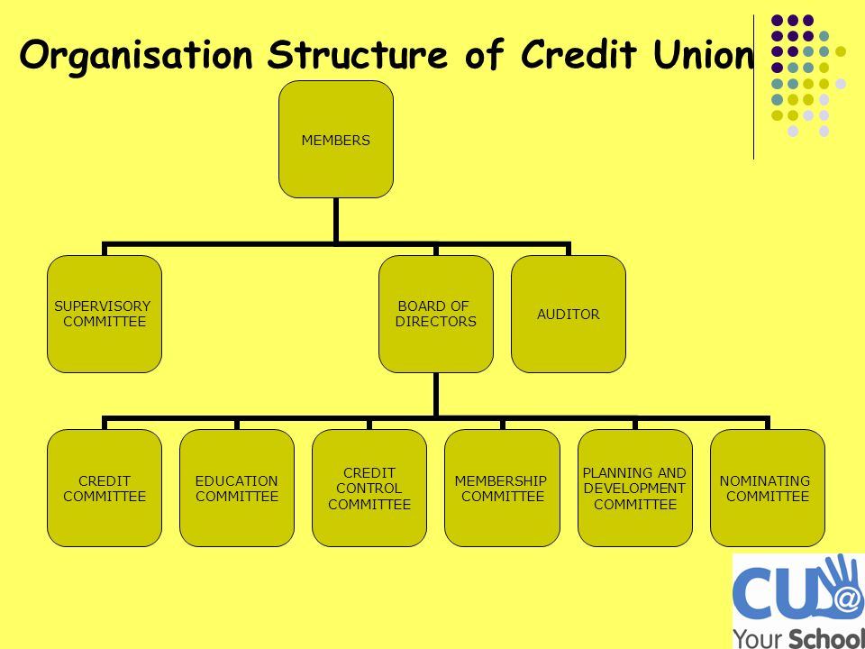 Credit Union Organisational Chart