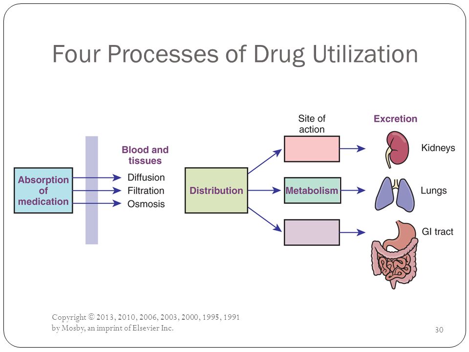 Four Processes of Drug Utilization