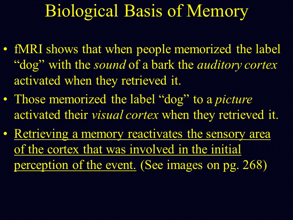 BIOLOGICAL BASIS OF MEMORY - ppt video online download