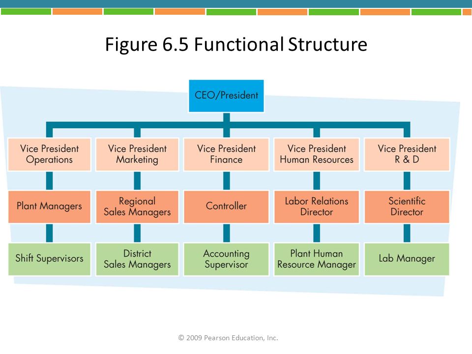 Sample Functional Organizational Structure Chart