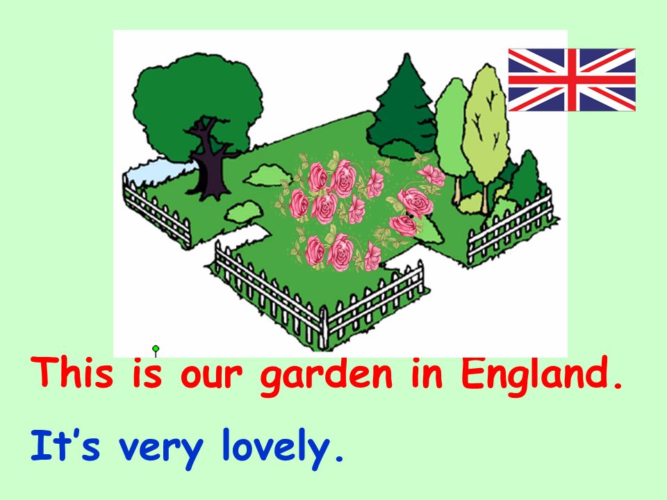 This is our garden in England.