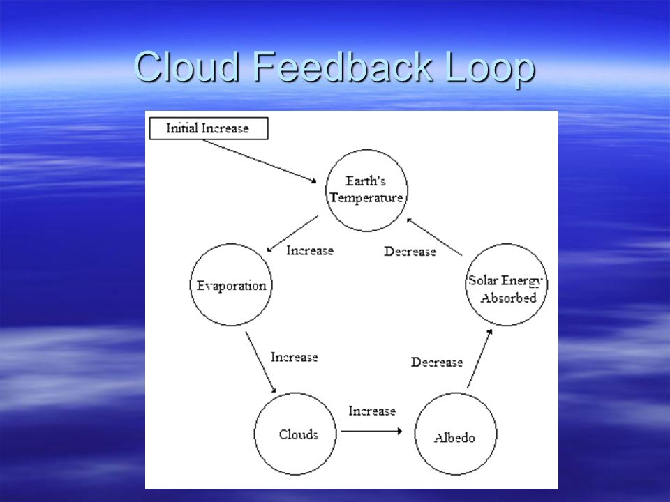 Cloud Feedback Loop