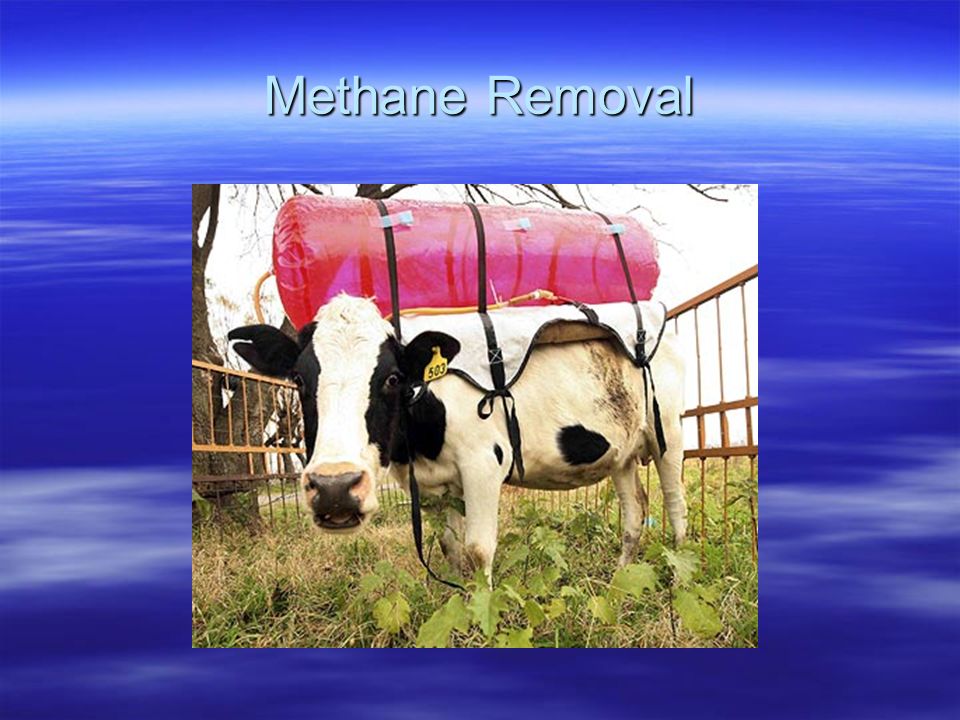 Methane Removal