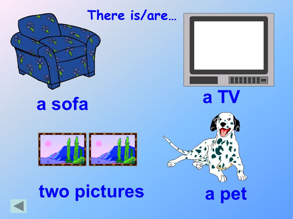 There is/are… a TV a sofa two pictures a pet