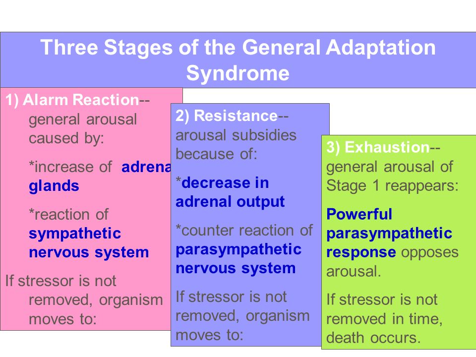 what are the stages of the general adaptation syndrome
