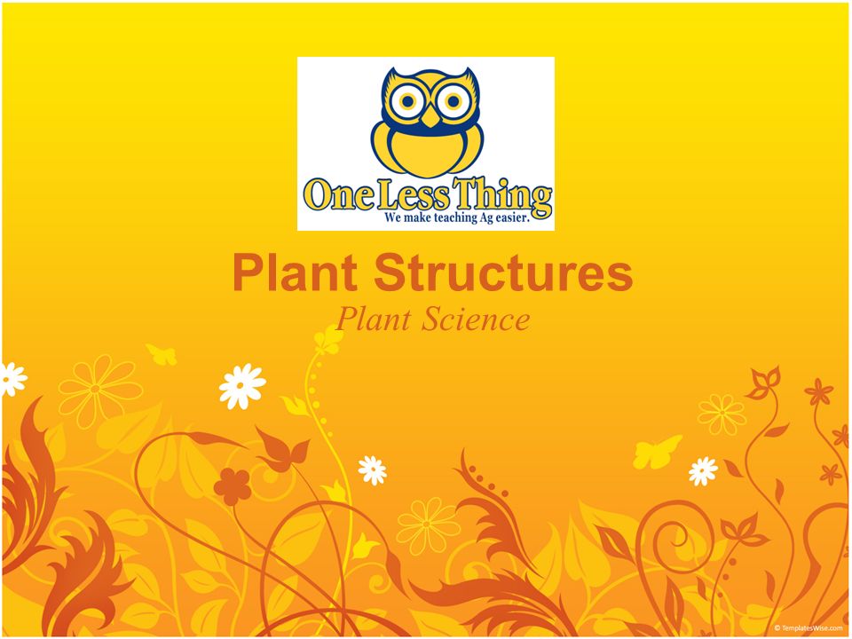 Plant Structures Plant Science