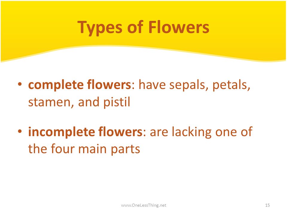 Types of Flowers complete flowers: have sepals, petals, stamen, and pistil. incomplete flowers: are lacking one of the four main parts.