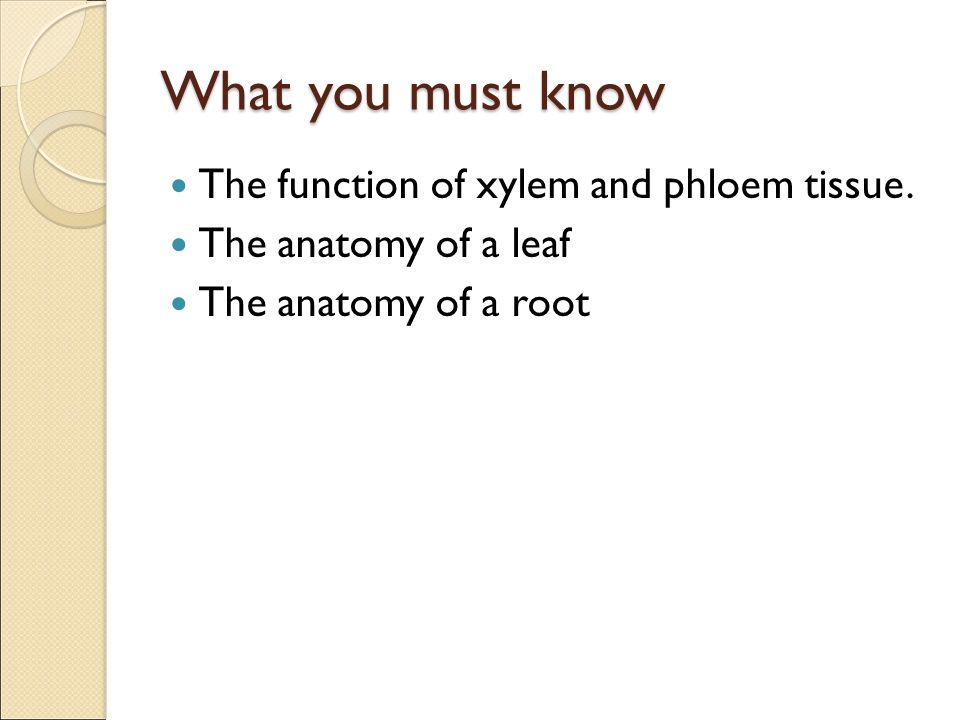 What you must know The function of xylem and phloem tissue.