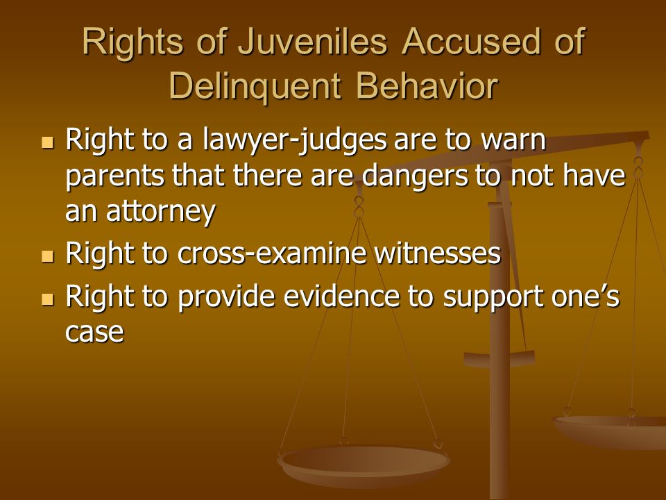Rights of Juveniles Accused of Delinquent Behavior