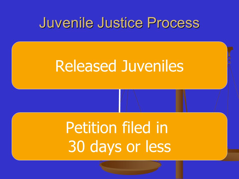 Juvenile Justice Process