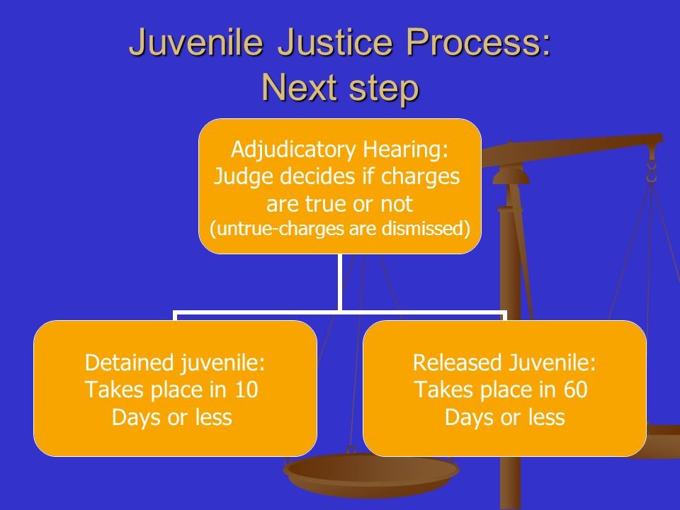 Juvenile Justice Process: Next step