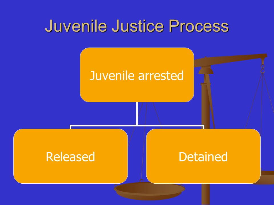 Juvenile Justice Process