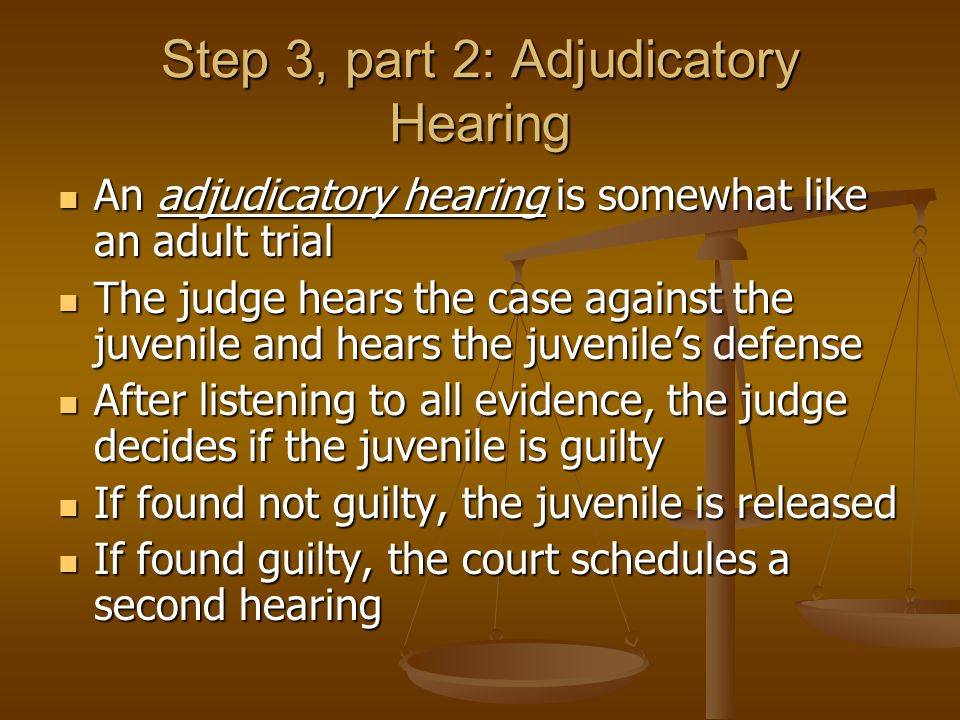 Step 3, part 2: Adjudicatory Hearing