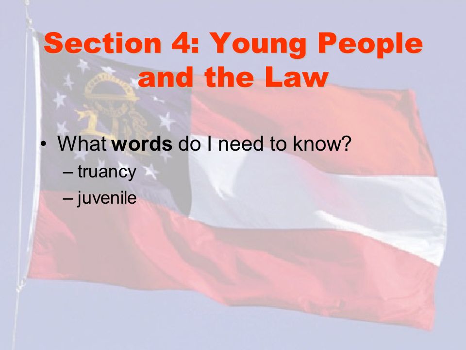 Section 4: Young People and the Law