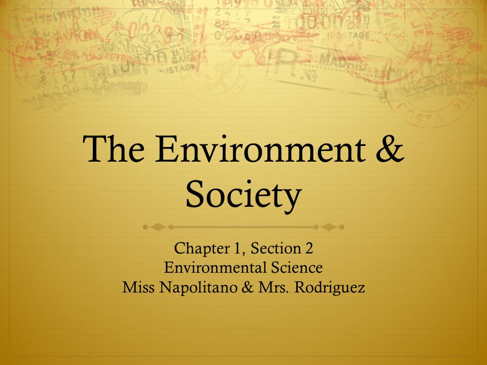 The Environment & Society