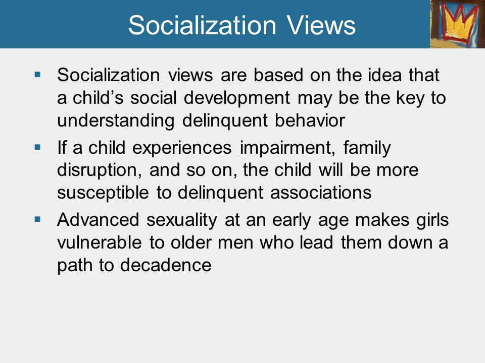 Socialization Views Socialization views are based on the idea that a child’s social development may be the key to understanding delinquent behavior.
