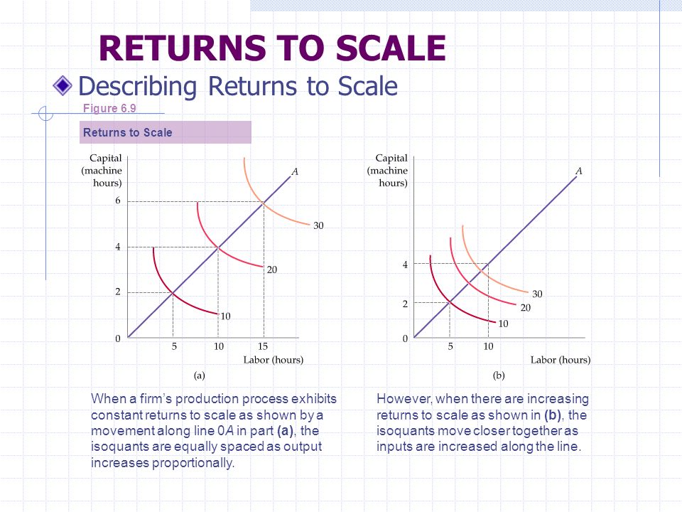 RETURNS TO SCALE Describing Returns to Scale