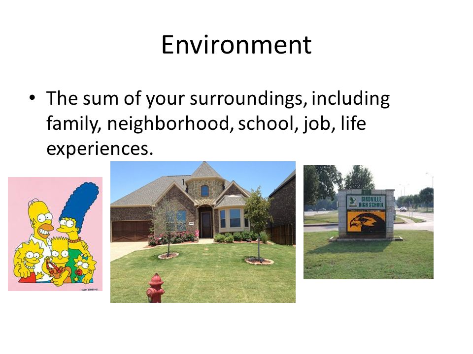 Environment The sum of your surroundings, including family, neighborhood, school, job, life experiences.