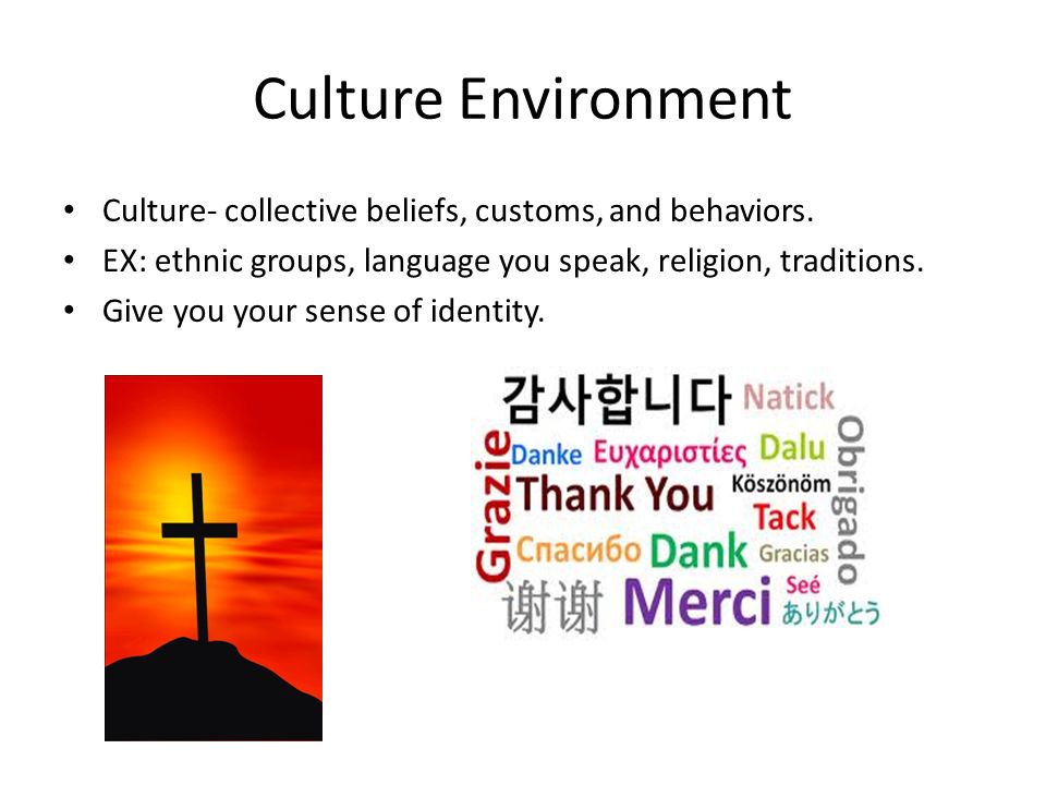 Culture Environment Culture- collective beliefs, customs, and behaviors. EX: ethnic groups, language you speak, religion, traditions.