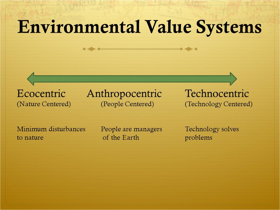 Environment value