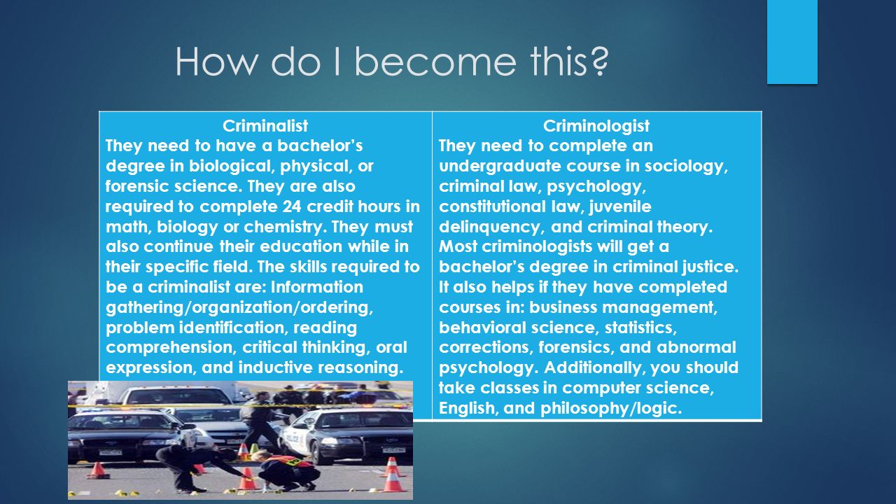 What Is A Criminalist? | Career Path And Overview