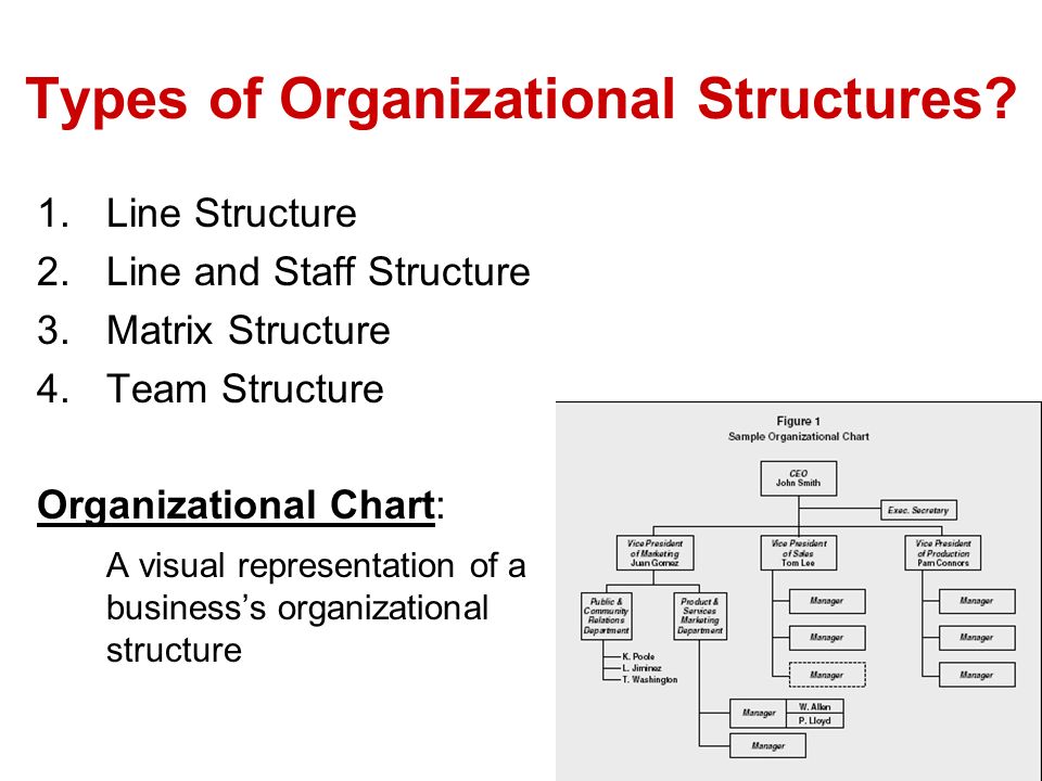 Types Of Organizational Chart Structure