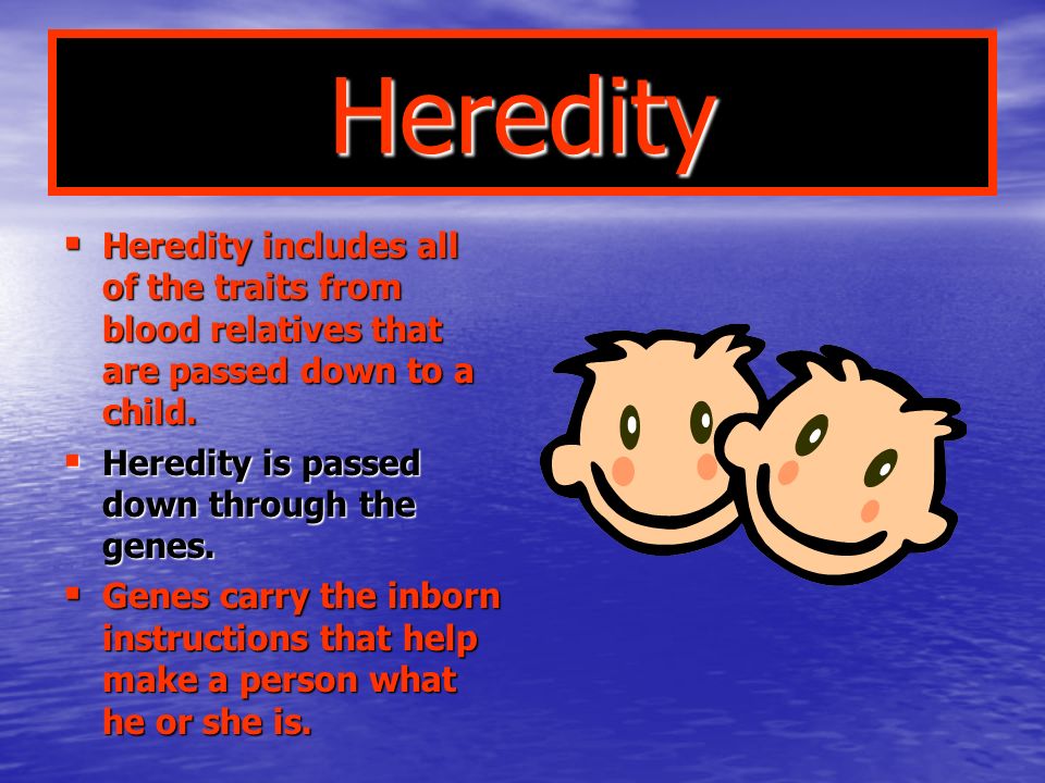 Heredity Heredity includes all of the traits from blood relatives that are passed down to a child. Heredity is passed down through the genes.