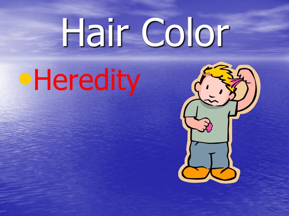 Hair Color Heredity
