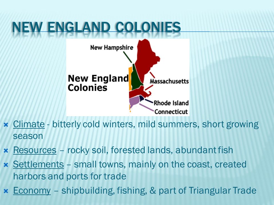 what type of economy did the southern colonies have