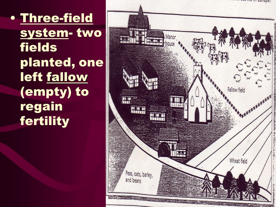 Three-field system- two fields planted, one left fallow (empty) to regain fertility