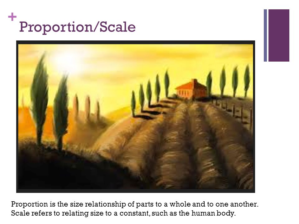 Proportion/Scale Proportion is the size relationship of parts to a whole and to one another.