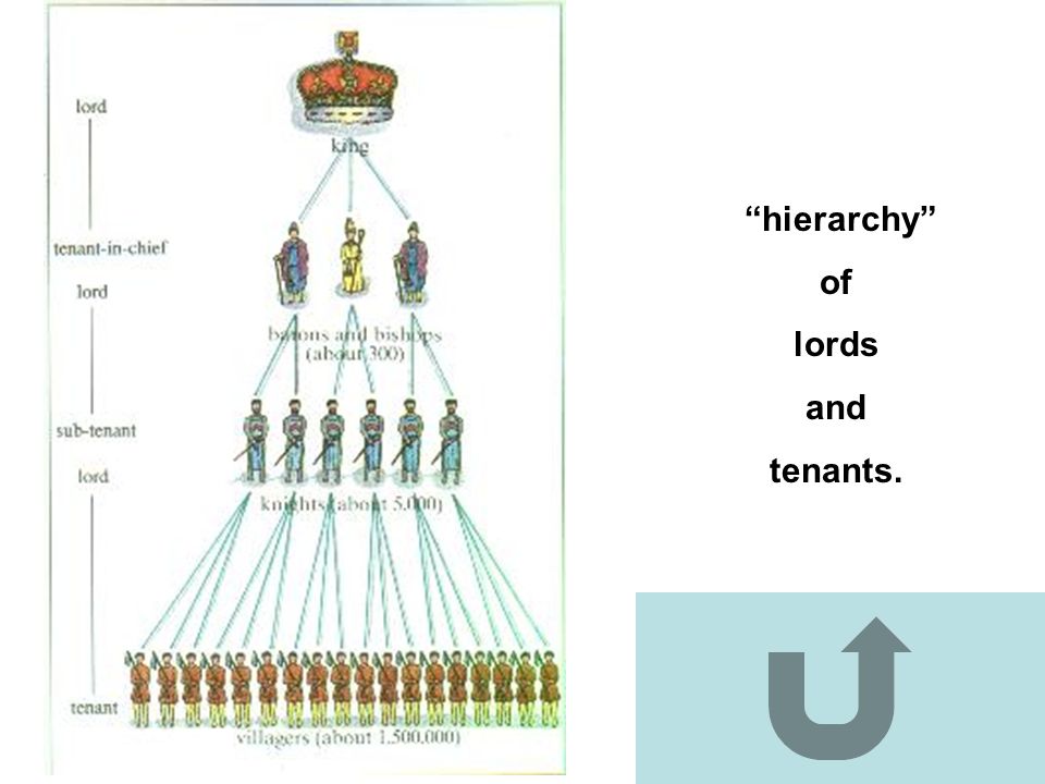 hierarchy of lords and tenants.