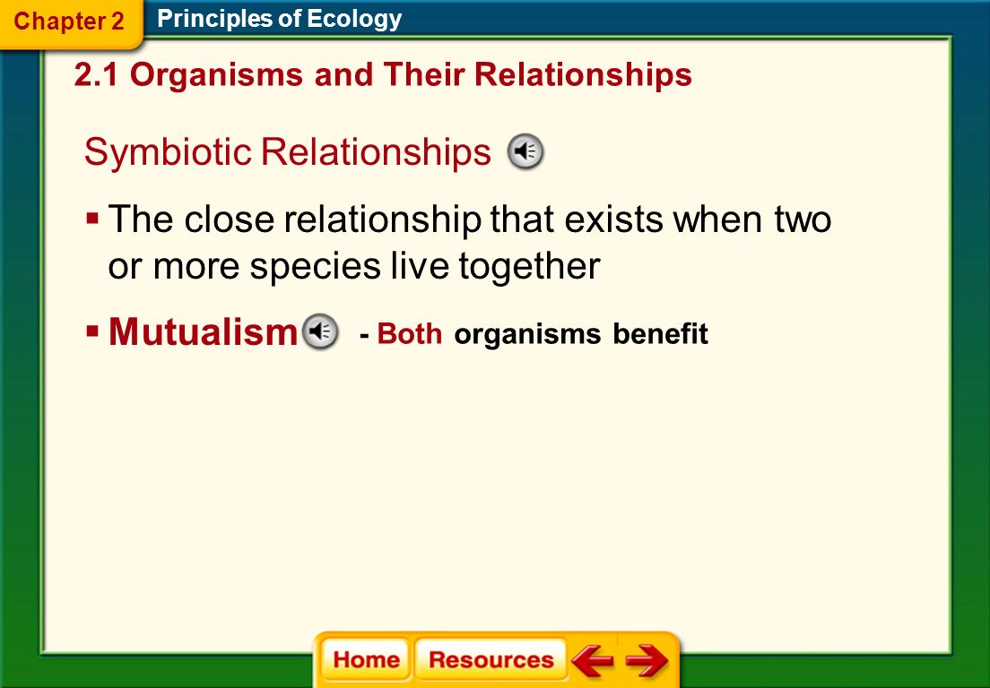 Symbiotic Relationships