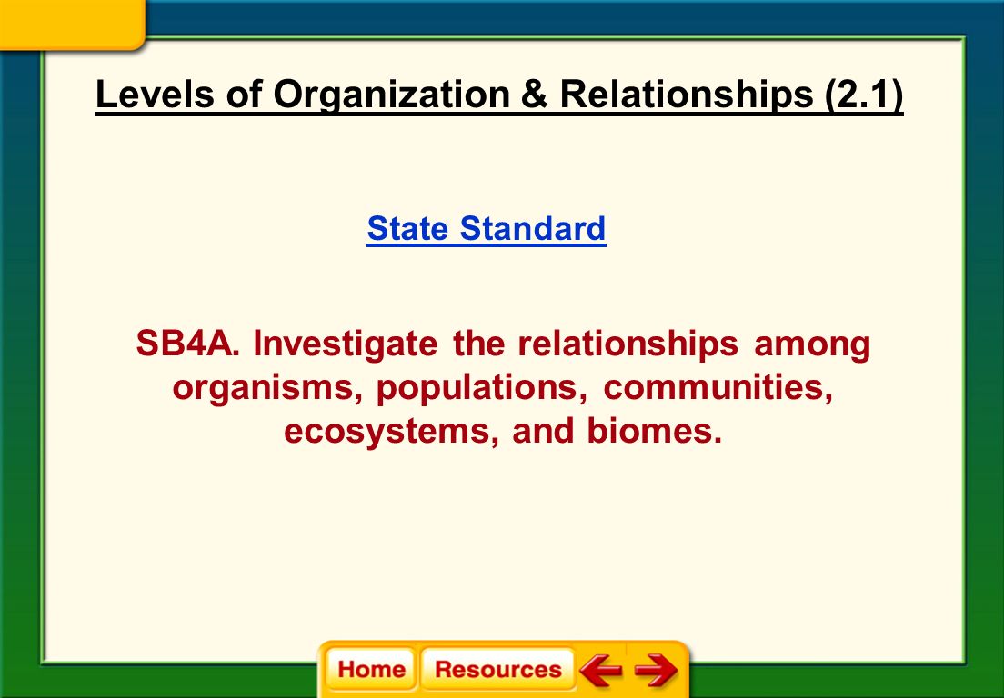 Levels of Organization & Relationships (2.1)