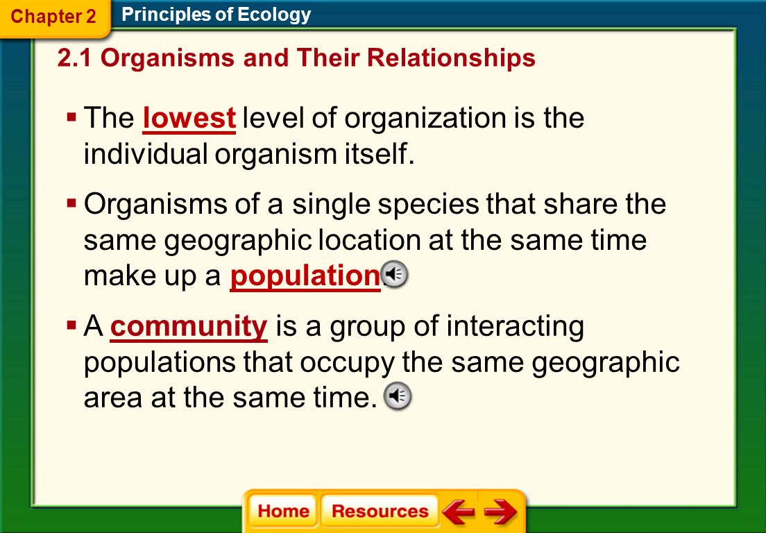 The lowest level of organization is the individual organism itself.