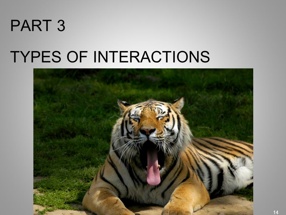 PART 3 TYPES OF INTERACTIONS