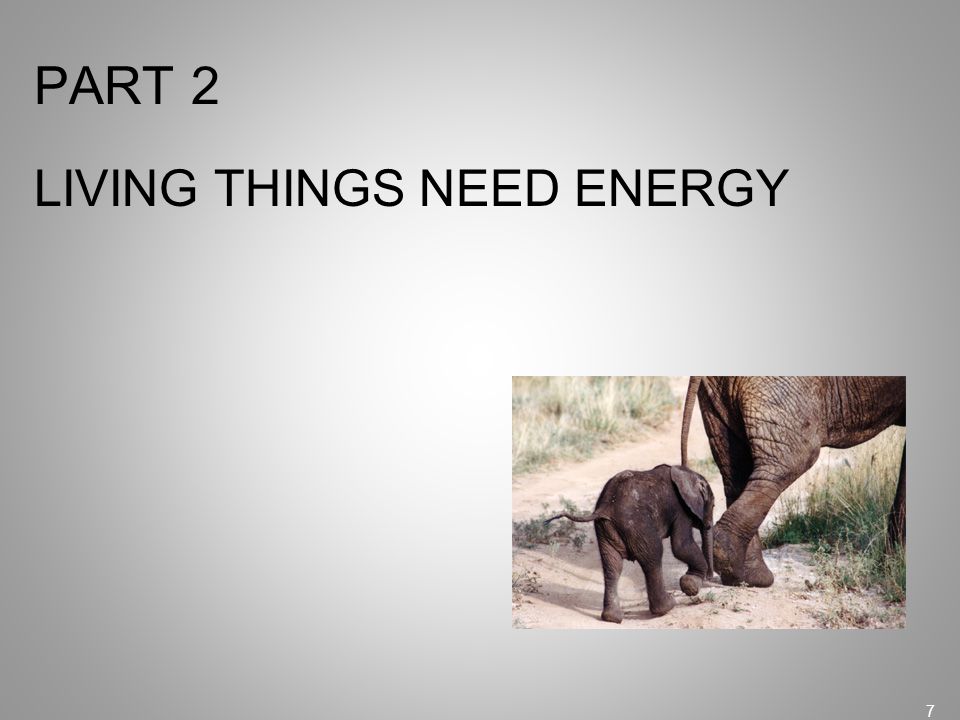PART 2 LIVING THINGS NEED ENERGY