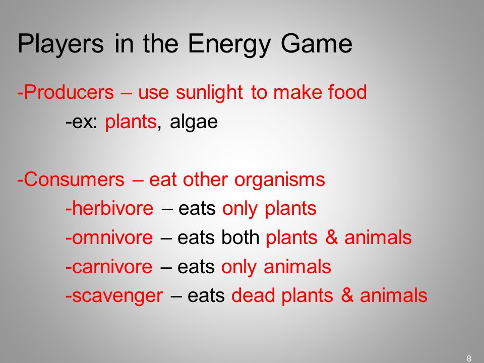 Players in the Energy Game