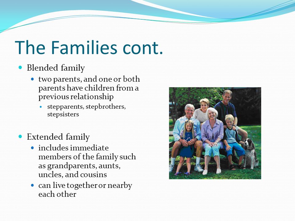 The Families cont. Blended family Extended family