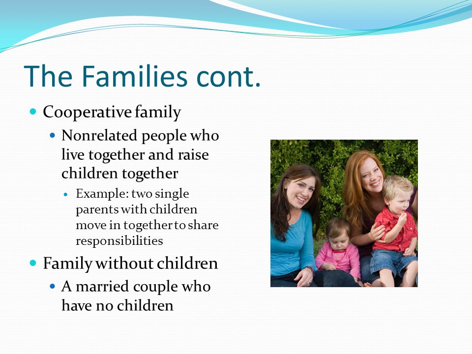 The Families cont. Cooperative family Family without children