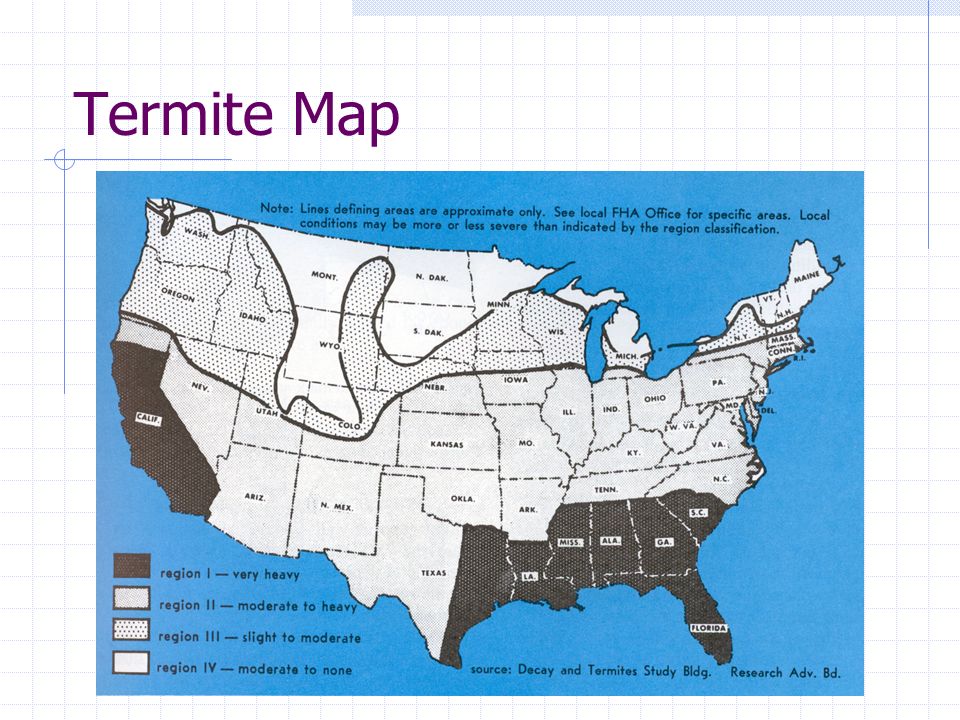 Termite Map