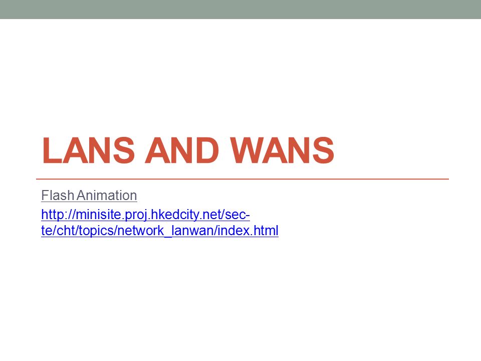 LANs and WANs Flash Animation